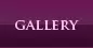 gallery of london escorts for incall and outcall services